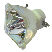 ACTO LX229 Lampe sans boîtier