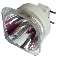 BENQ 5J.J8C05.001 Lampe sans boîtier