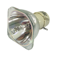 BENQ DW883UST Lampe sans boîtier