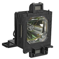 EIKI LC-WGC500L Lampe avec boîtier