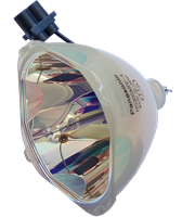 PANASONIC PT-DZ680ELK Lampe sans boîtier