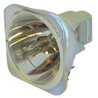 VIEWSONIC PJ513B Lampe sans boîtier