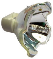 VIEWSONIC RLC-003 Lampe avec boîtier